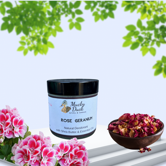 Rose Geranium