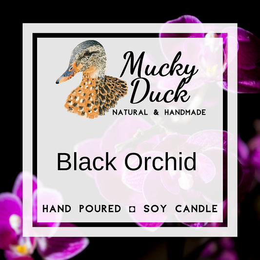 Black Orchid